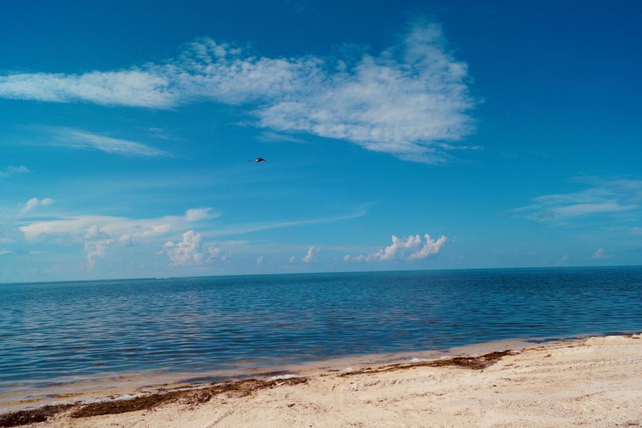 Deer Run On The Atlantic Bed & Breakfast Big Pine Key Dış mekan fotoğraf